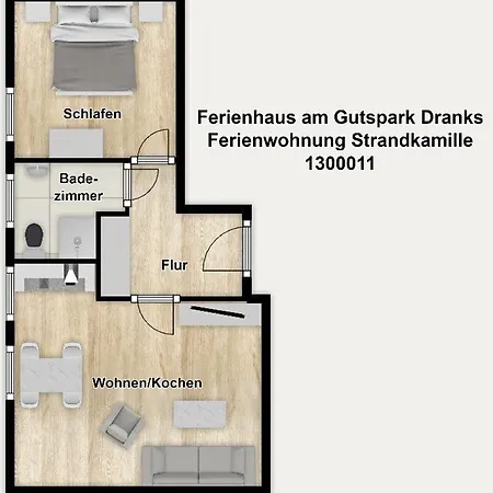 Am Gutspark Drankse Strandkamille