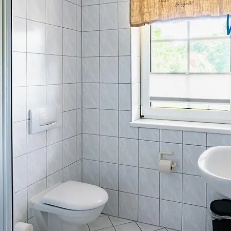 Am Gutspark Drankse Strandkamille *