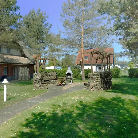 Am Gutspark Drankse Strandkamille *