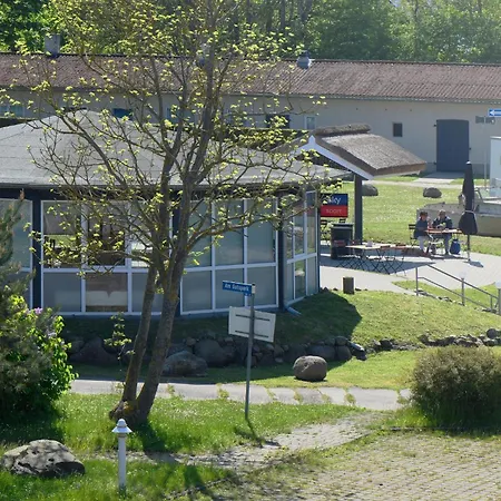 Am Gutspark Drankse Strandkamille *